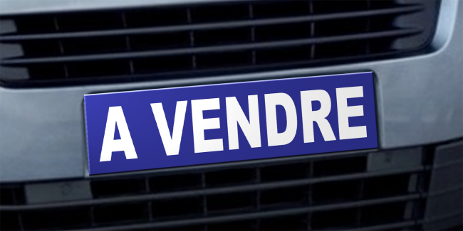 Cache plaque d'immatriculation - A VENDRE