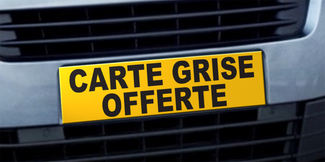Cache plaque d'immatriculation - CARTE GRISE OFFERTE